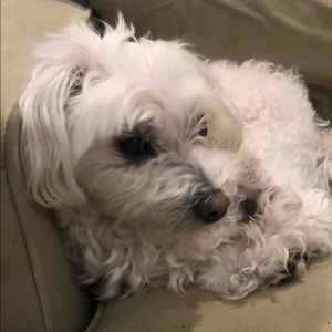 Meet your Posher, Auuj